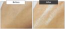 THE FACE SHOP White Seed Brightening Lotion 145ml - EmpressKorea
