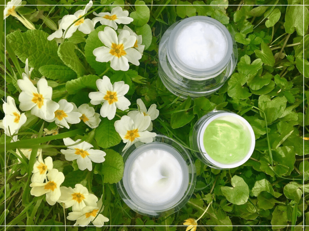 The Importance of Natural and Organic Skincare Products by EmpressKorea