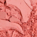 Ameli STEP BASIC 229 SALMON PINK 1.8g