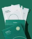 beplain Cicaful Calming Mask 27g*10ea - EmpressKorea