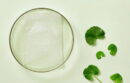 beplain Cicaful Calming Mask 27g*10ea - EmpressKorea