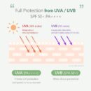 d'Alba Waterfull Mild Sun Cream SPF 50+ PA++++ 50ml - EmpressKorea