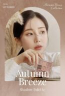 dasique Shadow Palette 10 Autumn Breeze 8g - EmpressKorea