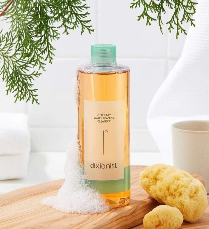 dixionist Cyforest Water Foaming Cleanser 350ml - EmpressKorea