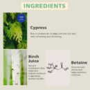 dixionist Cyforest Water Foaming Cleanser 350ml - EmpressKorea