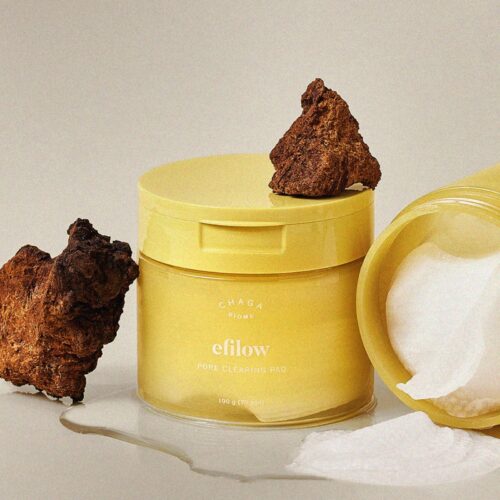 efilow Chaga Mushroom Biome Pore Clearing Pad 190g 70pad - EmpressKorea