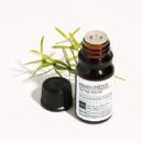 essenHERB Tea Tree 100 Oil 10ml - EmpressKorea