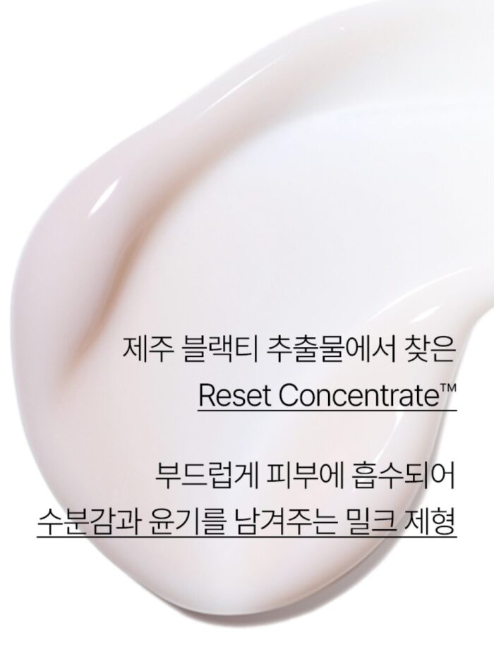 innisfree Black Tea Youth Enhancing Lotion 170mL - EmpressKorea