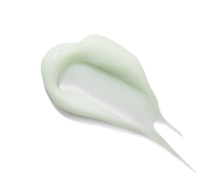 papa recipe Tea Tree Control Balancing Cream 100ml - EmpressKorea