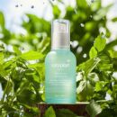 rataplan Water Parsley Calming Serum 50ml - EmpressKorea