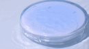 rom&nd Bare Water Cushion (5 Colors) SPF 38 PA++++ 20g - EmpressKorea