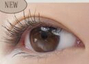 rom&nd Han All Fix Mascara 7g - EmpressKorea