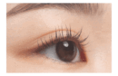 rom&nd Han All Lash Serum 8ml - EmpressKorea