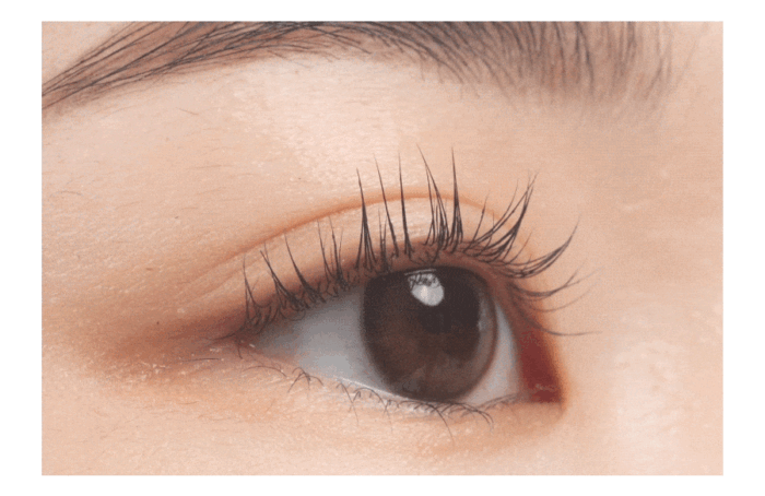 rom&nd Han All Lash Serum 8ml - EmpressKorea
