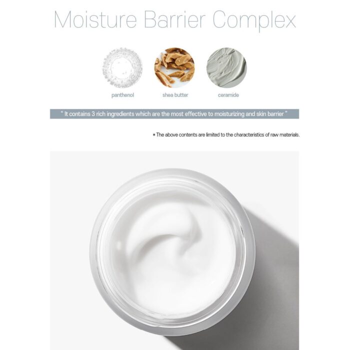 rootree Phyto Ground Calming Moisture Cream 80g - EmpressKorea