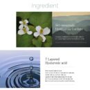 rootree Phyto Ground Calming Moisture Cream 80g - EmpressKorea