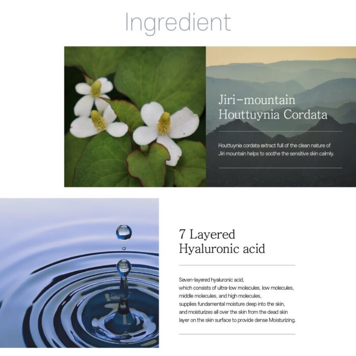 rootree Phyto Ground Calming Moisture Cream 80g - EmpressKorea