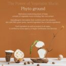 rootree Phyto Ground Purifying Cream Toner 200ml - EmpressKorea