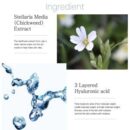 rootree Phyto Ground Purifying Cream Toner 200ml - EmpressKorea