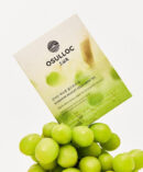 OSULLOC Cold Brew Tea 2.5g*20pack