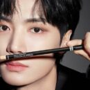 the SAEM Cover Perfection Concealer Pencil 1.4g - EmpressKorea