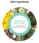 the SAEM Derma Plan Green Calming Cream 70ml - EmpressKorea