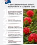 the SAEM Urban Eco Waratah Cream 50ml - EmpressKorea