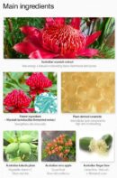 the SAEM Urban Eco Waratah Cream 50ml - EmpressKorea