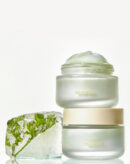 WHIPPED Vegan Calming Soufflé Cream 50g