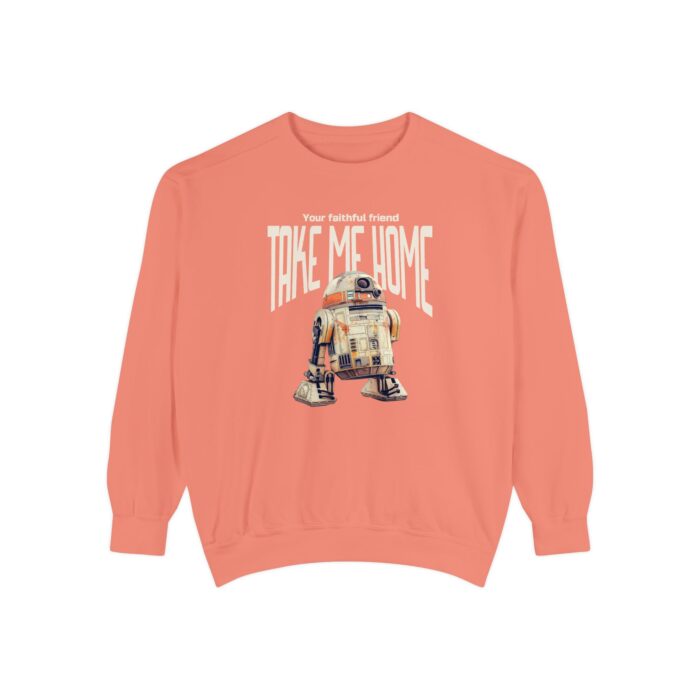 "meta_description": "Luxurious garment-dyed sweatshirt for ultimate comfort and style in any season.",
