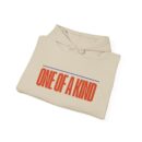 One of a kind Unisex Heavy Blend™ Hooded Sweatshirt
