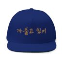 You're being silly Embroidery Flat Bill Cap - Stylish Korean Quote Design