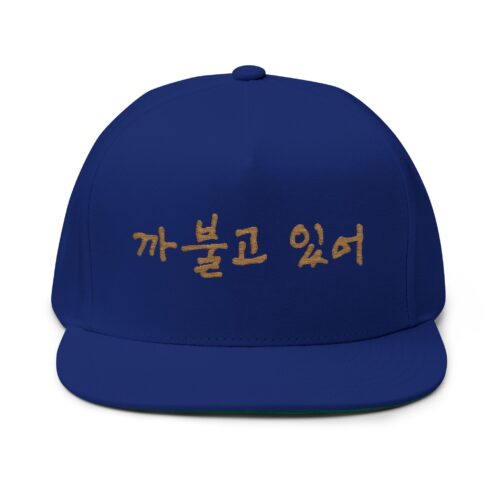 You're being silly Embroidery Flat Bill Cap - Stylish Korean Quote Design