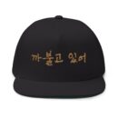 You're being silly Embroidery Flat Bill Cap - Stylish Korean Quote Design