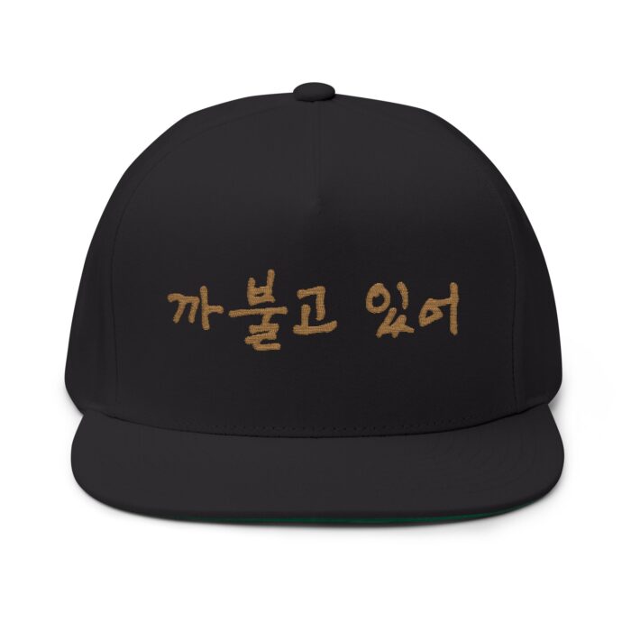 You're being silly Embroidery Flat Bill Cap - Stylish Korean Quote Design - Image 5