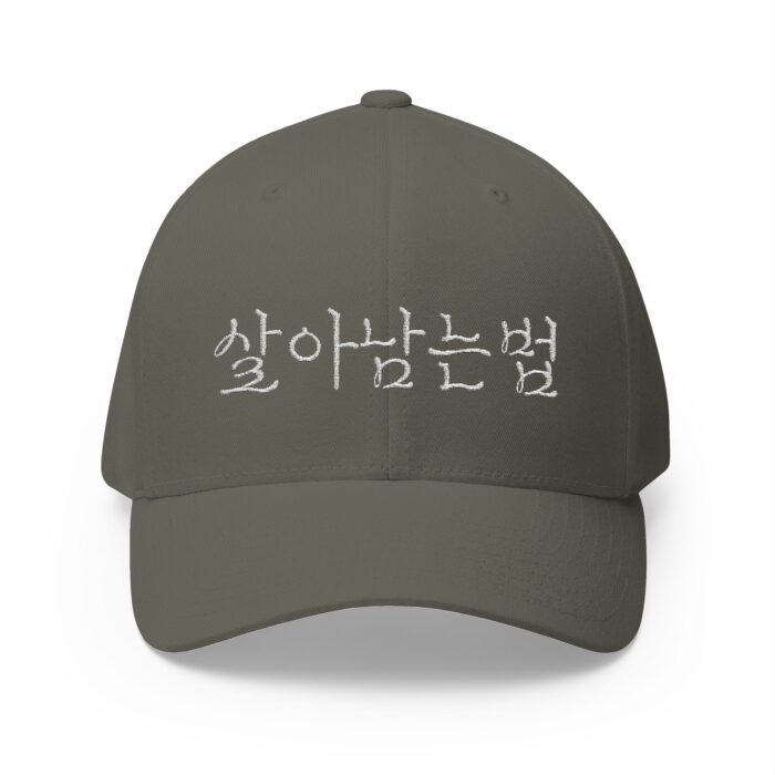 GO FORWARD Embroidered Korean Phrase Cap - Stylish Closed-Back Structured Hat for Everyday Wear - Image 9