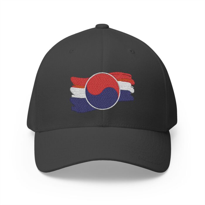 "meta_description": "Discover the stylish Taegukki Cap: a fashion cap for any occasion.",