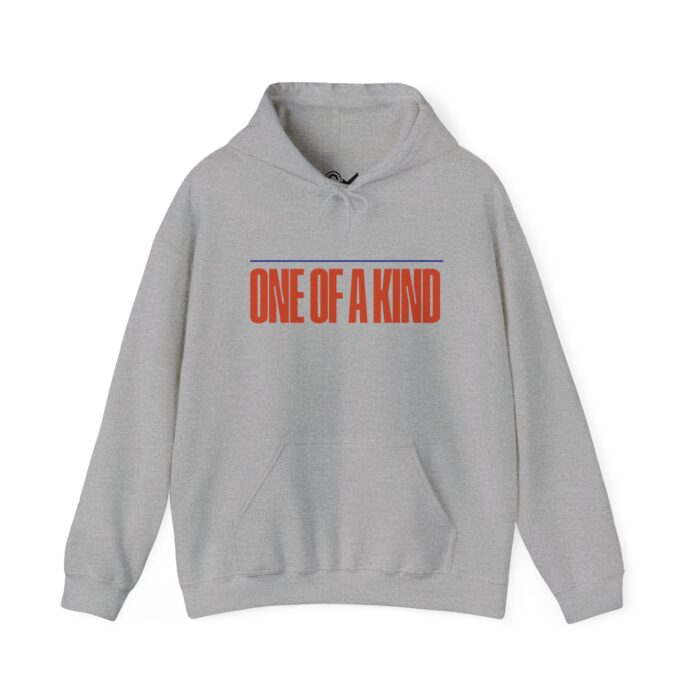One of a kind Unisex Heavy Blend™ Hooded Sweatshirt - Image 13