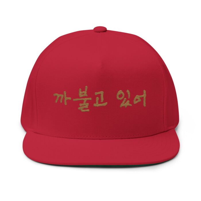 You're being silly Embroidery Flat Bill Cap - Stylish Korean Quote Design - Image 9