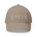 GO FORWARD Embroidered Korean Phrase Cap - Stylish Closed-Back Structured Hat for Everyday Wear