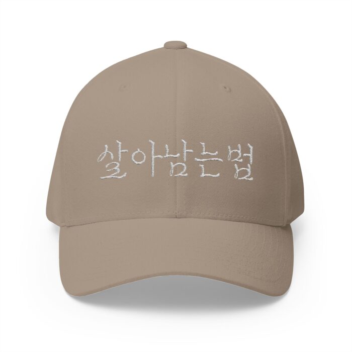 GO FORWARD Embroidered Korean Phrase Cap - Stylish Closed-Back Structured Hat for Everyday Wear - Image 5