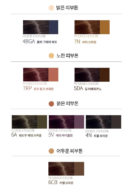 mise en scène Salon Plus Clinic 10 (for Dyeing+Gray Hair Combination)