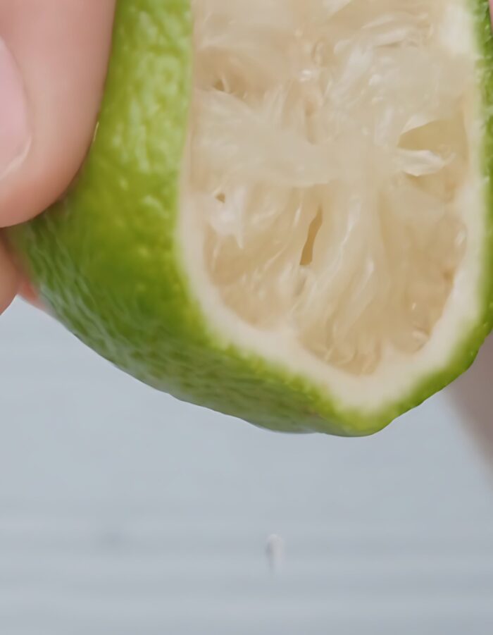 WHIPPED Lavocado Vegan Pack Cleanser 80g - Image 5