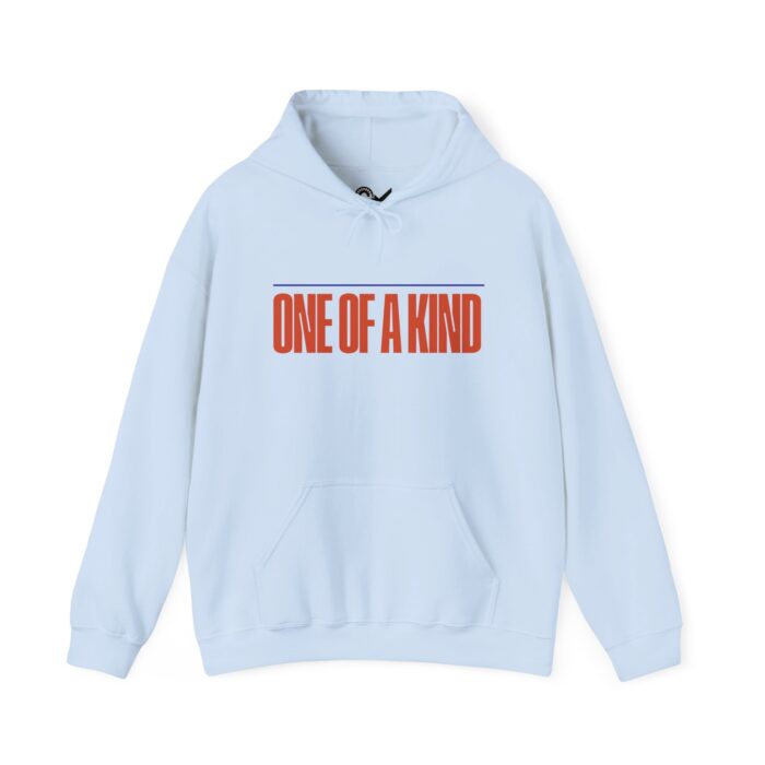 One of a kind Unisex Heavy Blend™ Hooded Sweatshirt - Image 17