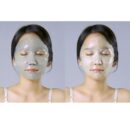 WellDerma Premium Cica Treatment Repair Fitting Mask 25g*4packs