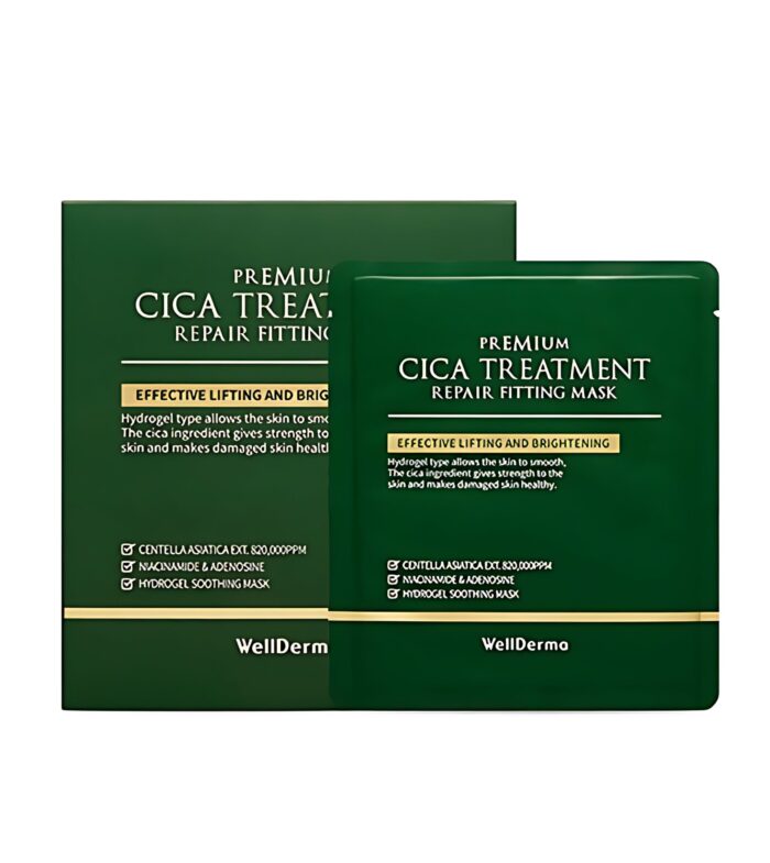 WellDerma Premium Cica Treatment Repair Fitting Mask 25g*4packs