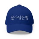 GO FORWARD Embroidered Korean Phrase Cap - Stylish Closed-Back Structured Hat for Everyday Wear