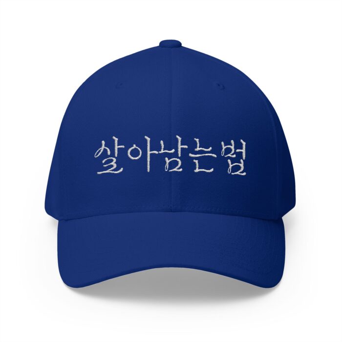 GO FORWARD Embroidered Korean Phrase Cap - Stylish Closed-Back Structured Hat for Everyday Wear - Image 13