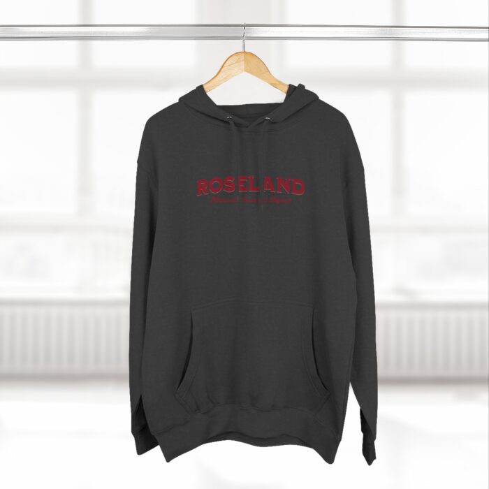 Roseland Three-Panel Fleece Hoodie - Image 12