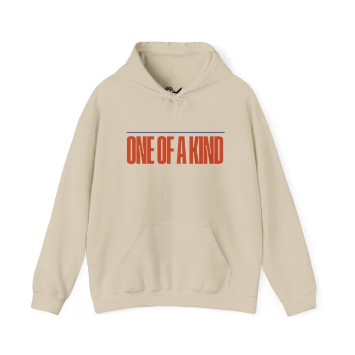 One of a kind Unisex Heavy Blend™ Hooded Sweatshirt - Image 9